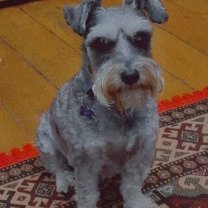 Meet your Posher, Laura